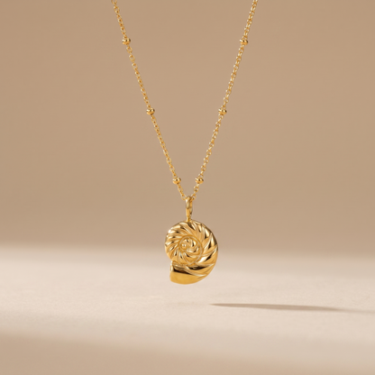Asea Nautilus Shell Necklace — front view