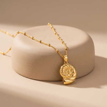 Asea Nautilus Shell Necklace — angle