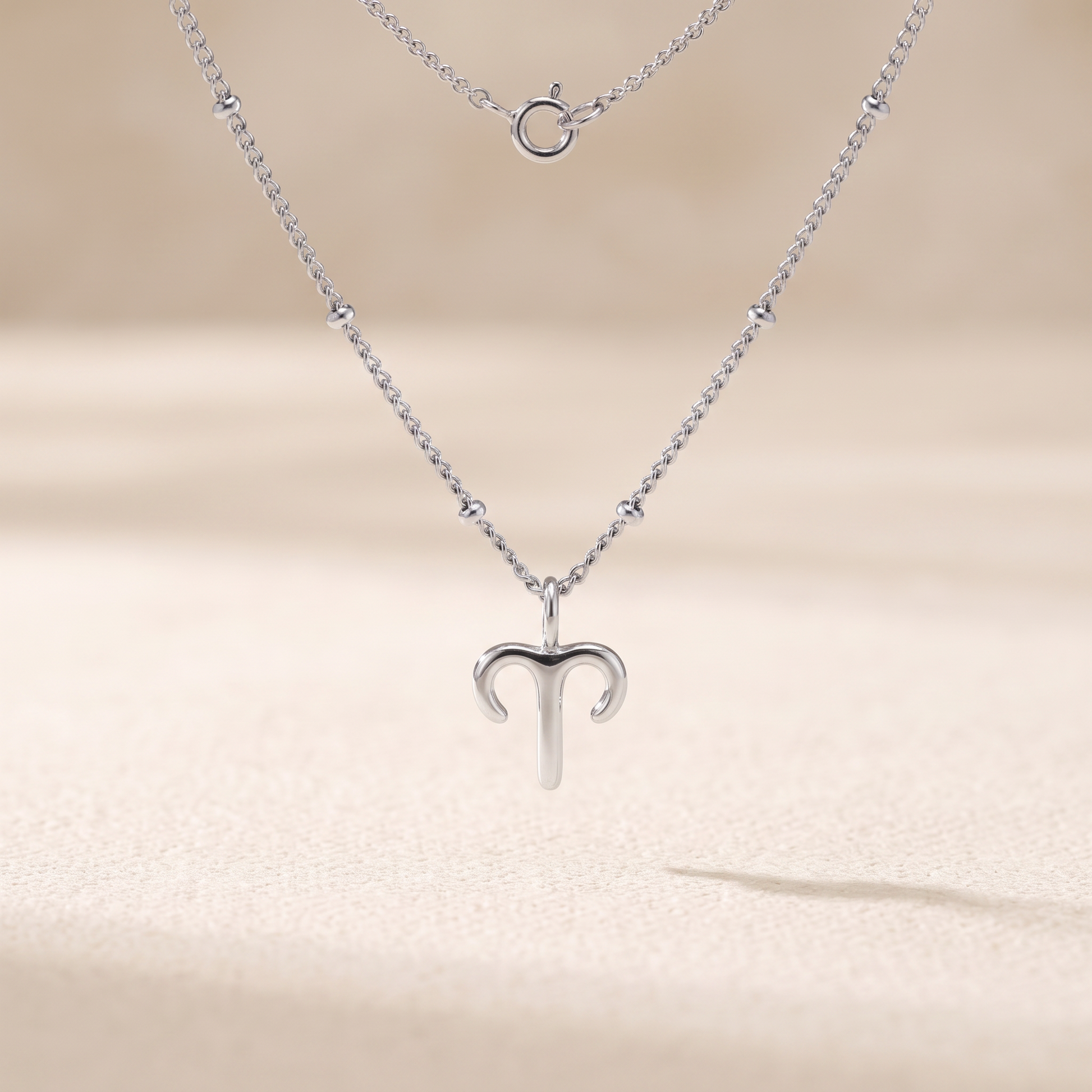 Asea Zodiac Sign Charm Necklace — Silver Color