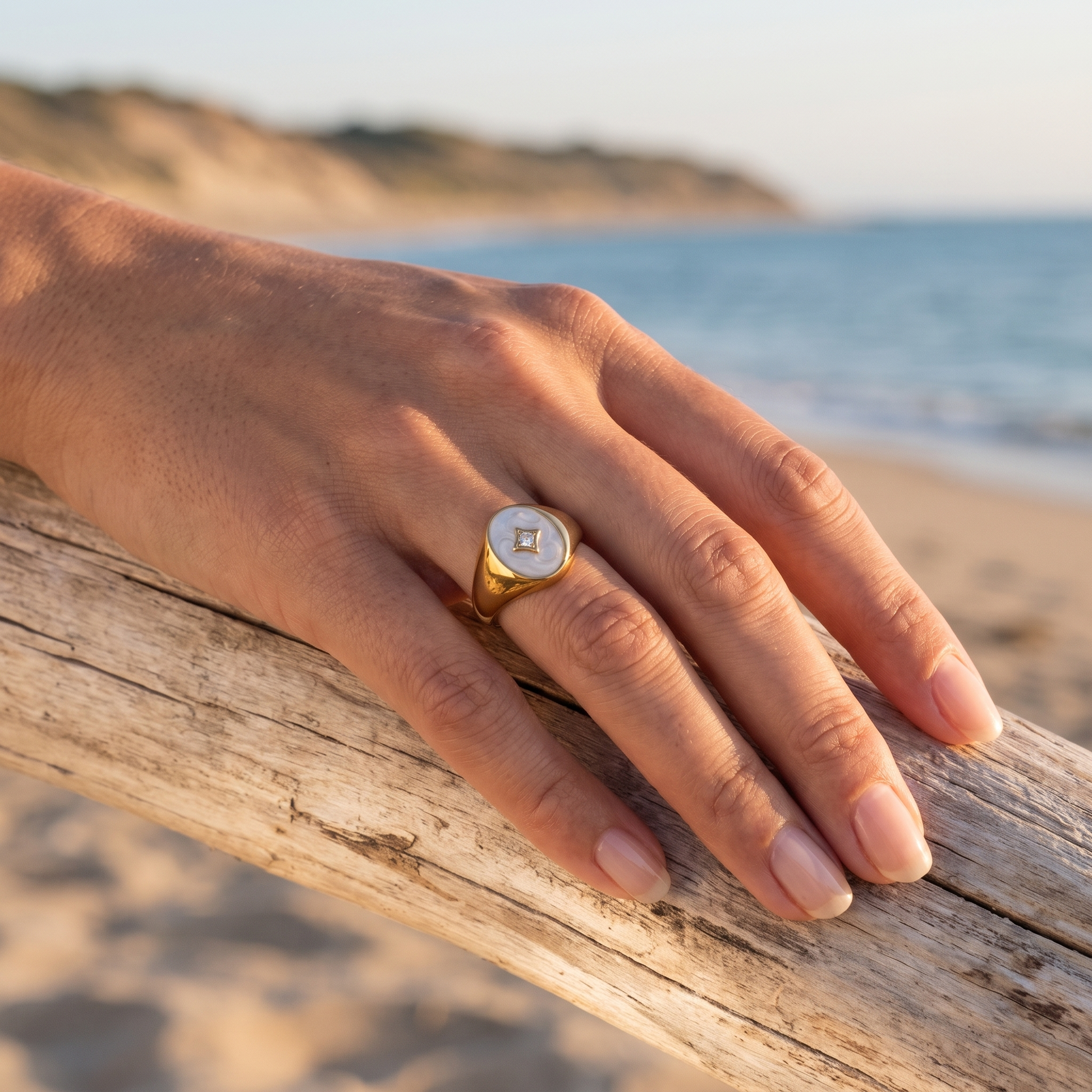 Asea Boreal Enamel Signet Ring — worn by model