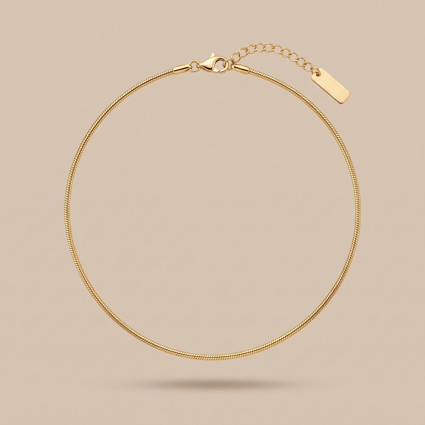 Asea Sleek Fine Chain Choker — front view