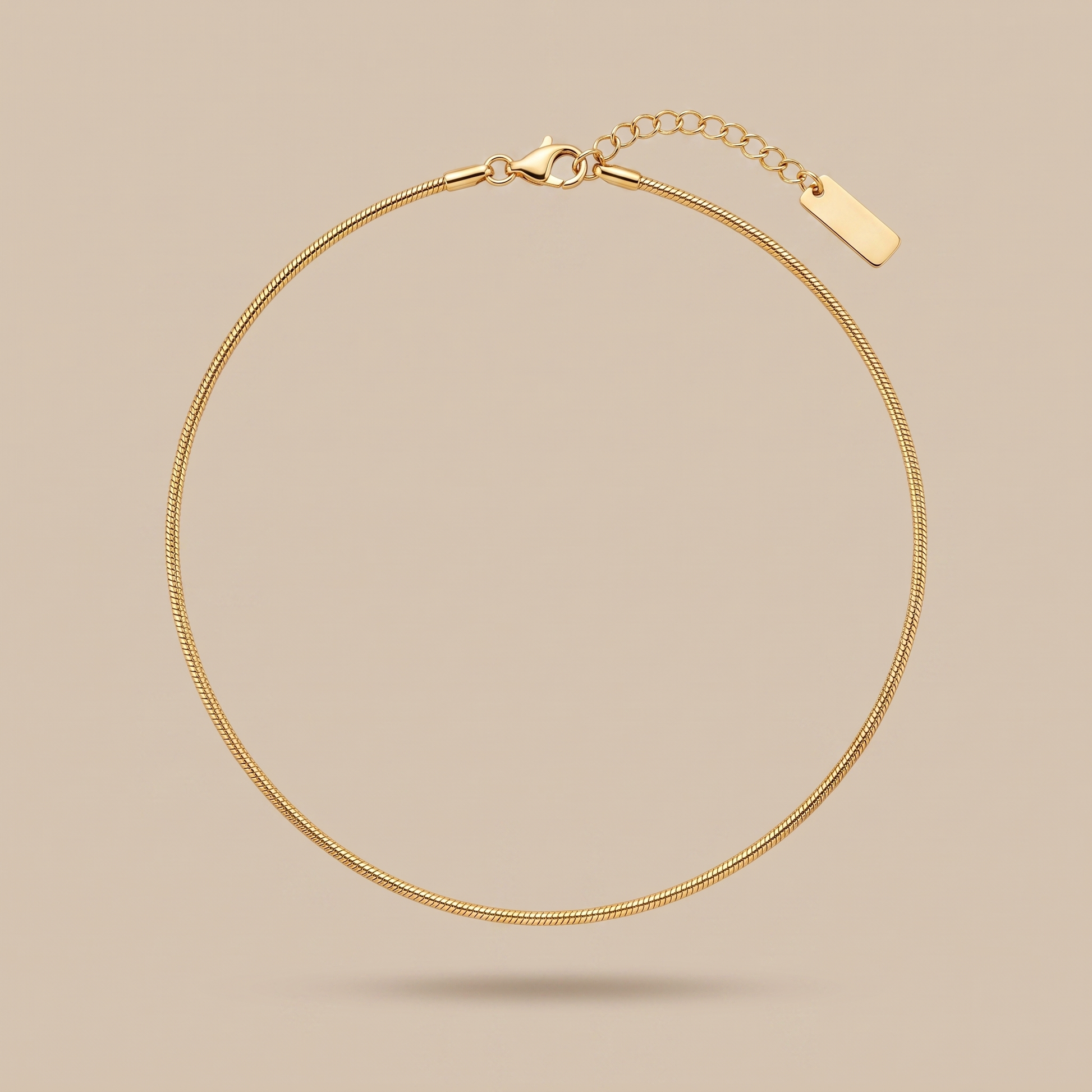 Asea Sleek Fine Chain Choker — front view