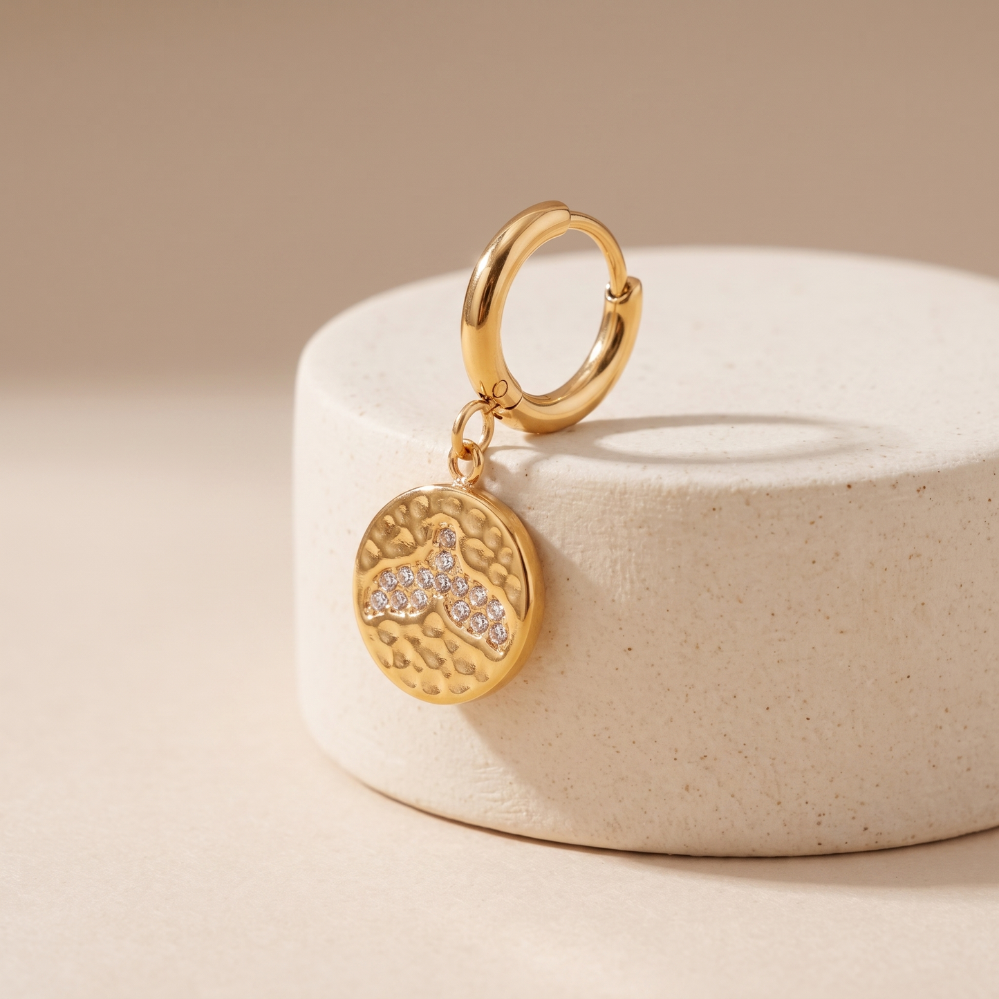 Asea Whale Tail Huggie Earrings — angle