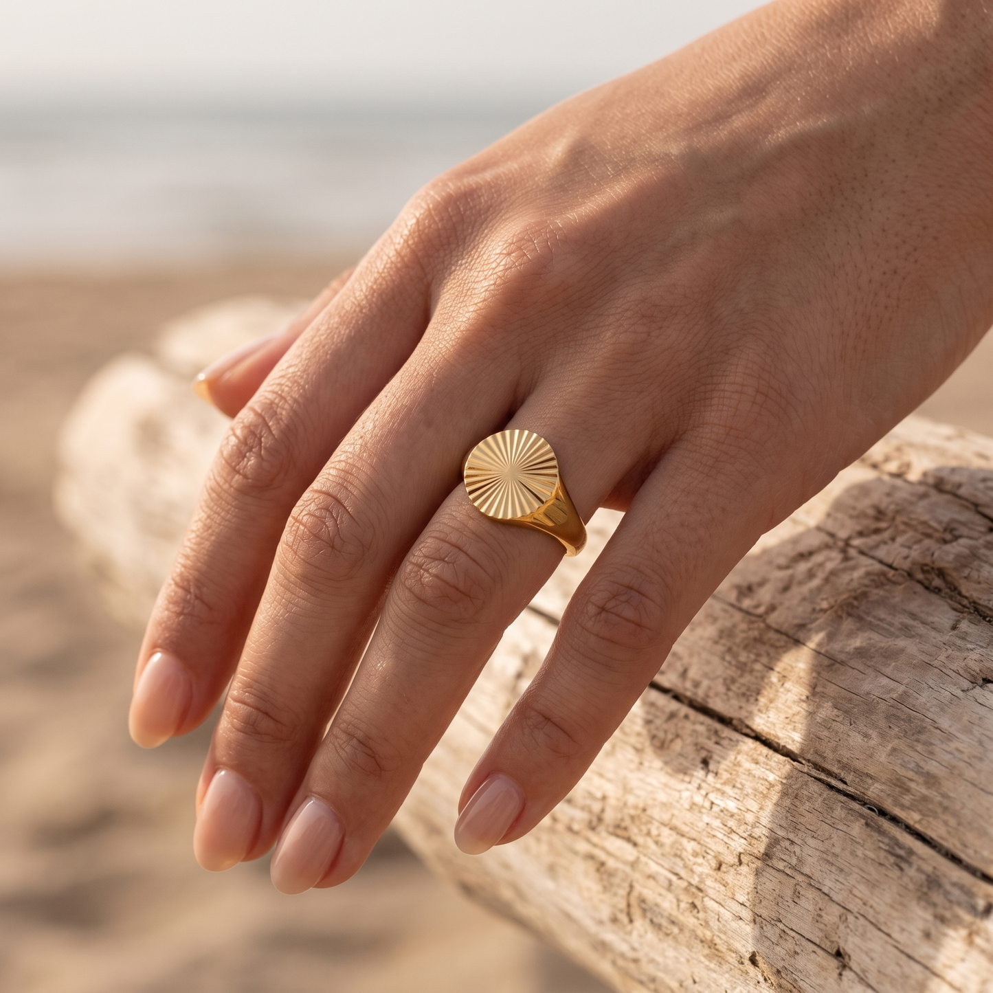 Asea Sun Motif Signet Ring — worn by model