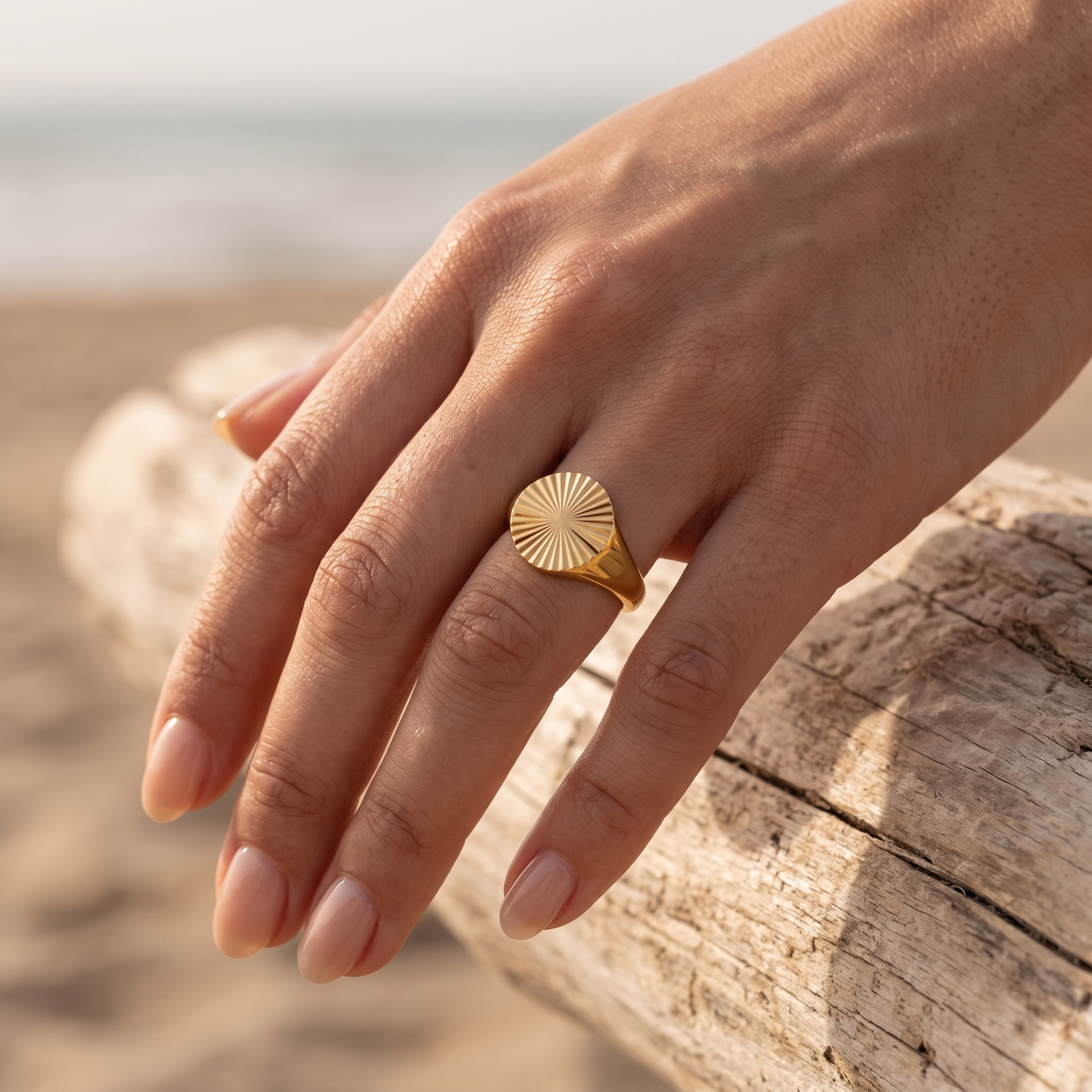 Asea Sun Motif Signet Ring — worn by model