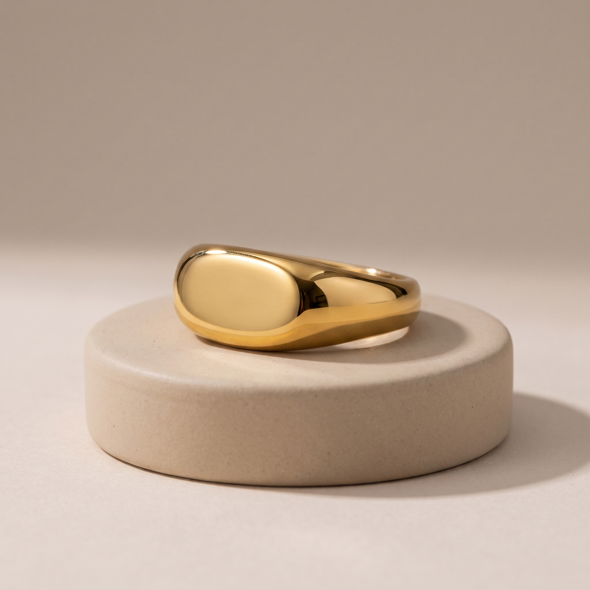 Asea Daily Signet Ring — angle