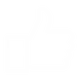 feature-item-4